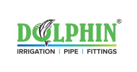 Dolphin Logo